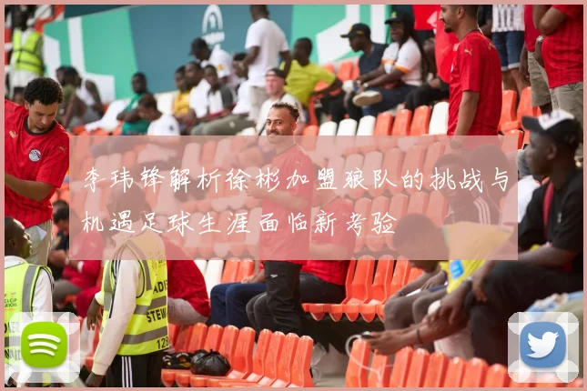 李玮锋解析徐彬加盟狼队的挑战与机遇足球生涯面临新考验