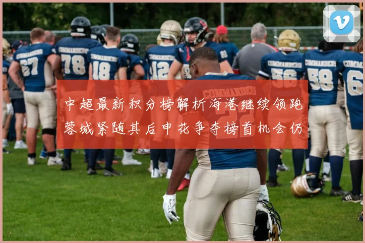 中超最新积分榜解析海港继续领跑蓉城紧随其后申花争夺榜首机会仍在